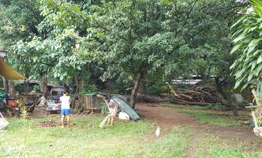 Residential Vacant Lot 4,000 Sqm For Sale in Antipolo City near Antipolo Church