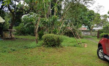 Residential Vacant Lot 4,000 Sqm For Sale in Antipolo City near Antipolo Church