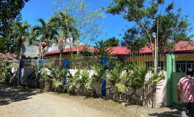 House and Lot for Sale in Azurin Subdivision, San Jose, Antique