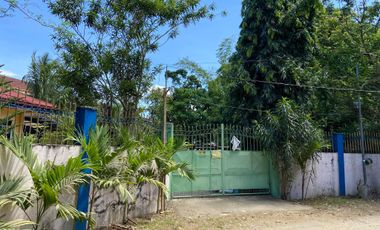 House and Lot for Sale in Azurin Subdivision, San Jose, Antique