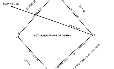 For sale: Prime Commercial Lot along QUEZON AVENUE QC