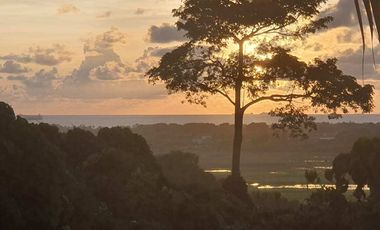 Titled Lot - Overlooking West Philippine Sea
