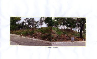 Vacant Lot: L7 B8 Richdale St. Bently Park Subd. Brgy. Sta. Cruz, Antipolo City