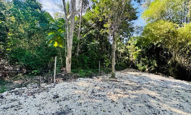 Clean Titled Lot Ready to build your dream House
