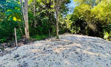 Clean Titled Lot Ready to build your dream House