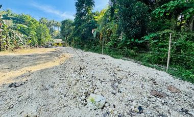 Clean Titled Lot Ready to build your dream House