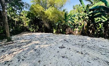 Clean Titled Lot Ready to build your dream House