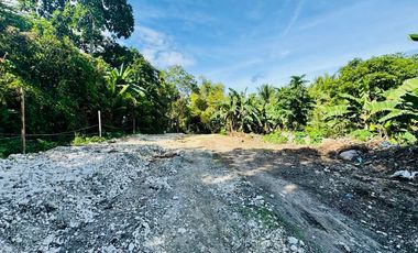 Clean Titled Lot Ready to build your dream House