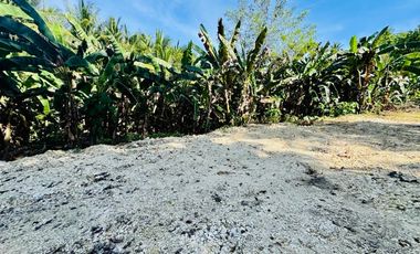 Clean Titled Lot Ready to build your dream House