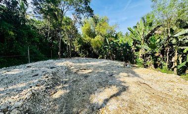 Clean Titled Lot Ready to build your dream House