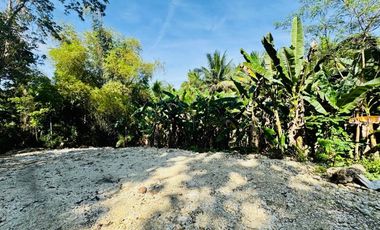 Clean Titled Lot Ready to build your dream House