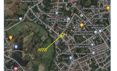 For Sale House and Lot AR Aduas Central Cabanatuan City