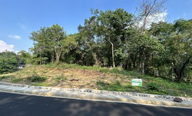 Residential Plot for sale in Rizal, Antipolo City