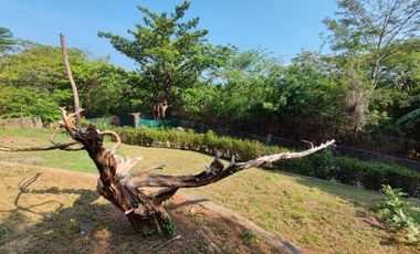 Privated Resort for Rent Located at Montemar Beach Village, Bagac Bataan