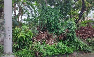 Residential Lot inside Antipolo Valley Subdivision