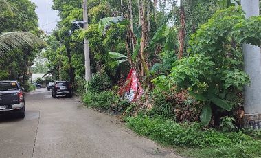 Residential Lot inside Antipolo Valley Subdivision