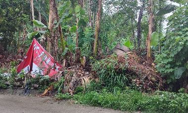 Residential Lot inside Antipolo Valley Subdivision