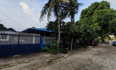 For Sale: 2-Bedroom Bungalow House, Big Lot Area in Taculing, Bacolod City
