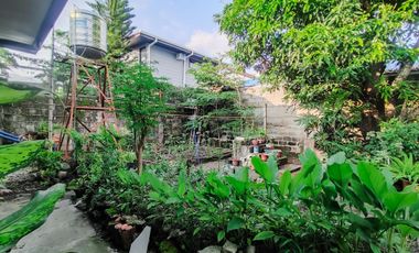 For Sale: 2-Bedroom Bungalow House, Big Lot Area in Taculing, Bacolod City