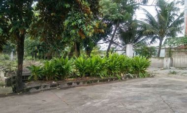 Lot and Farm for Sale in Marilao Bulacan