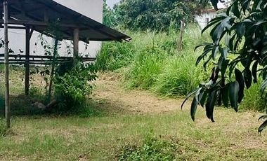 500sqm LOT for SALE Camuning Mexico Pampanga near Lakeshore