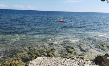 Brand new resort for sale in Catarman Dauis Panglao Bohol 28M