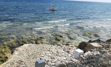 Brand new resort for sale in Catarman Dauis Panglao Bohol 28M