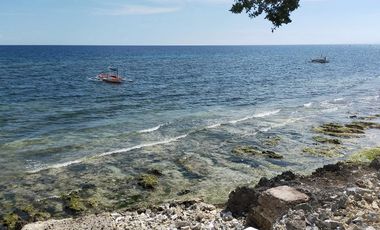 Brand new resort for sale in Catarman Dauis Panglao Bohol 28M