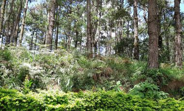 Residential Plot for sale in Benguet, Baguio City