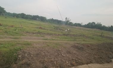 Land for sale in Sta. Maria Bulacan