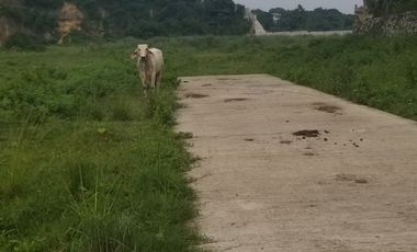 Land for sale in Sta. Maria Bulacan