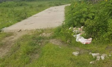 Land for sale in Sta. Maria Bulacan