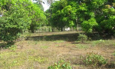 4 bedroom, cement house, main road frontage,1220 m2 land, no flooding.  20% Dep