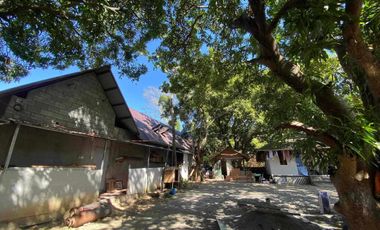 Lot For Sale at San Isidro in White Beach Puerto Galera
