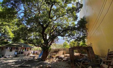Lot For Sale at San Isidro in White Beach Puerto Galera