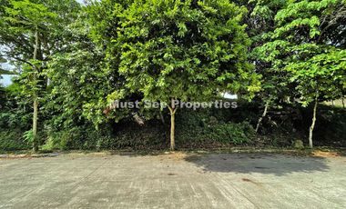 Ayala Westgrove Heights Lot for Sale