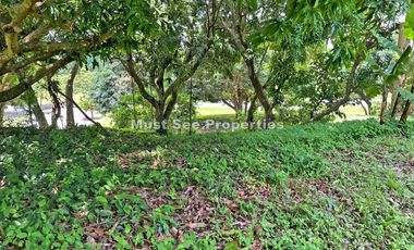 Ayala Westgrove Heights Lot for Sale