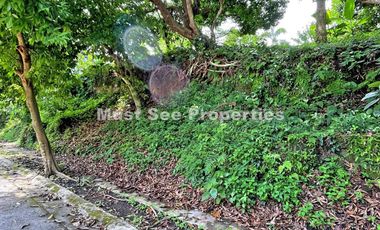 Ayala Westgrove Heights Lot for Sale