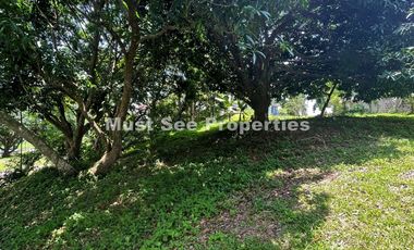 Ayala Westgrove Heights Lot for Sale
