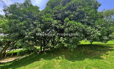 Ayala Westgrove Heights Lot for Sale