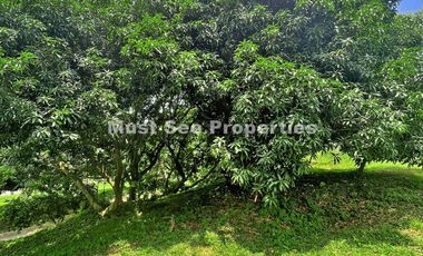 Ayala Westgrove Heights Lot for Sale