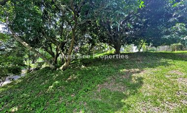 Ayala Westgrove Heights Lot for Sale