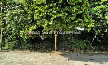 Ayala Westgrove Heights Lot for Sale