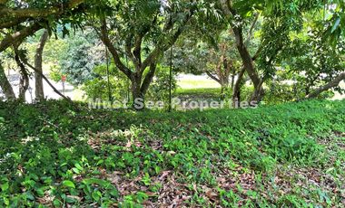 Ayala Westgrove Heights Lot for Sale