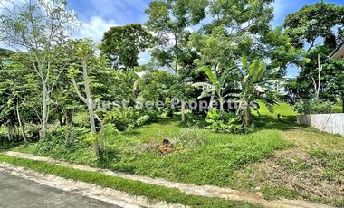 Ayala Westgrove Heights Lot for Sale