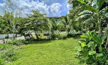 Ayala Westgrove Heights Lot for Sale