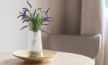 Furnished studio for RENT in Mactan Lapu-lapu city, Cebu