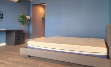 Luxurious Penthouse Unit for Lease/Sale in Viridian Greenhills, San Juan City