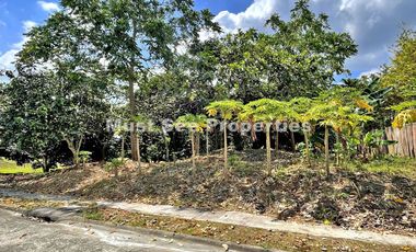 Ayala Westgrove Heights (Lot for Sale)