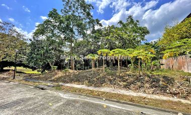 Ayala Westgrove Heights (Lot for Sale)